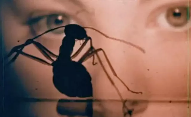 What I'm Watching: Phase IV