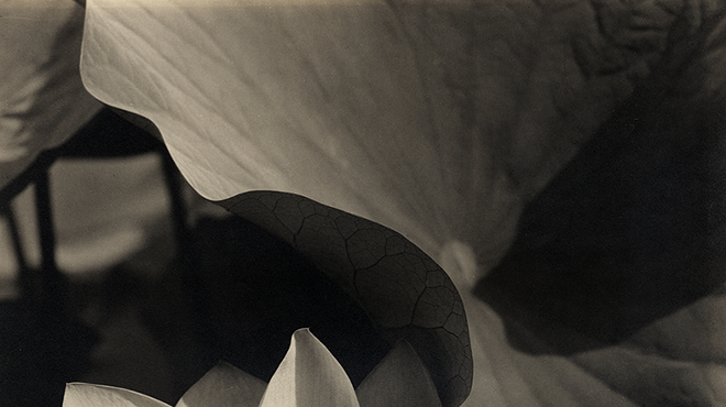 Image: 'Photo-Secession'