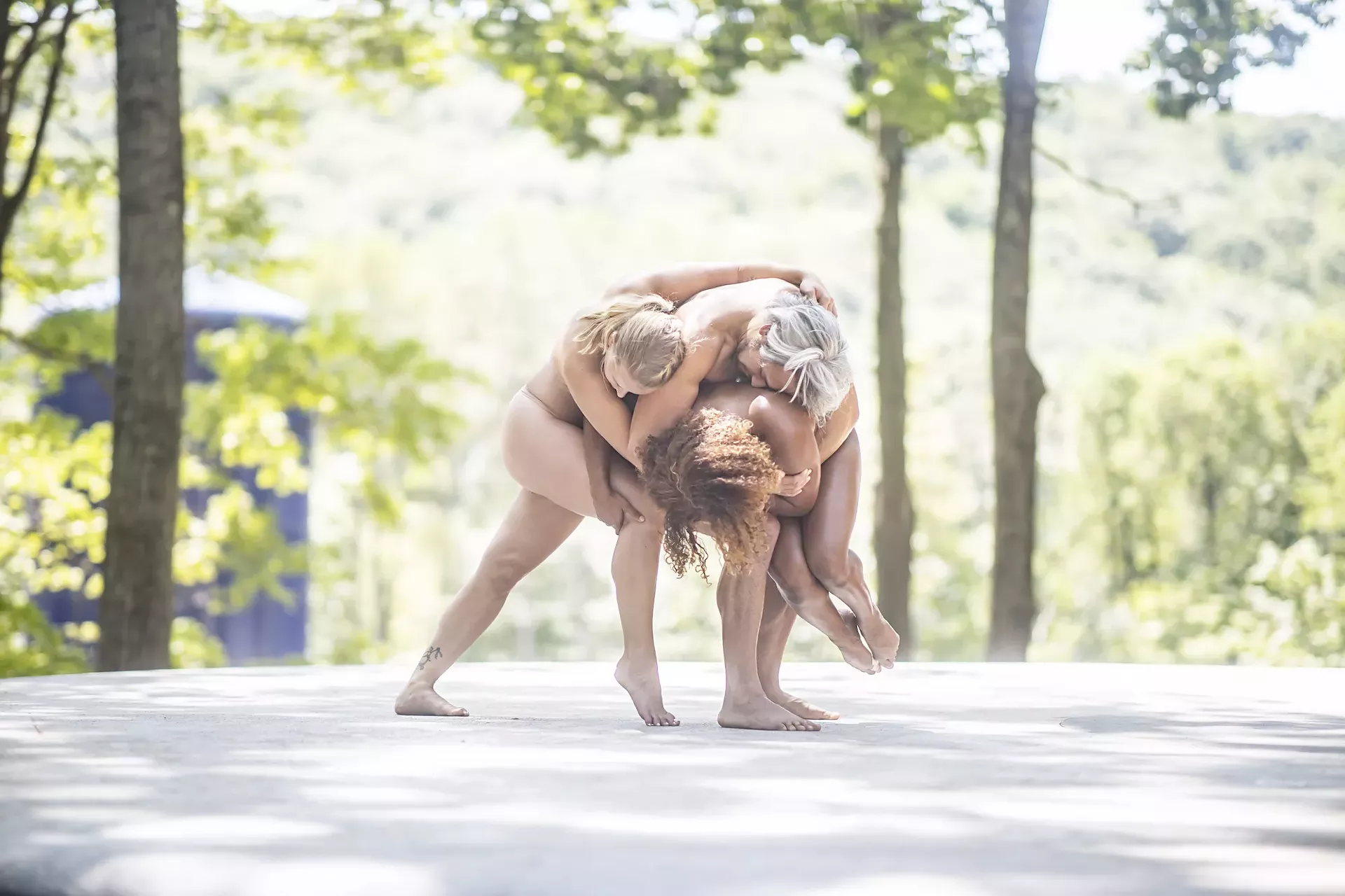pilobolus_courtesy_of_brigid_pierce-calendar-mag7-ravin.webp
