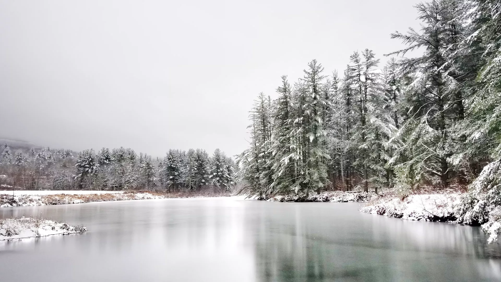 pond_in_winter.webp