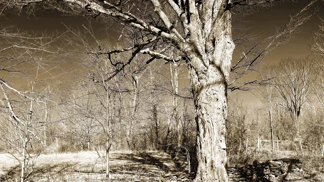 Image: 'Poultney People and Places'