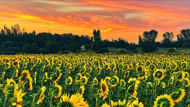 Image: Preya Holland