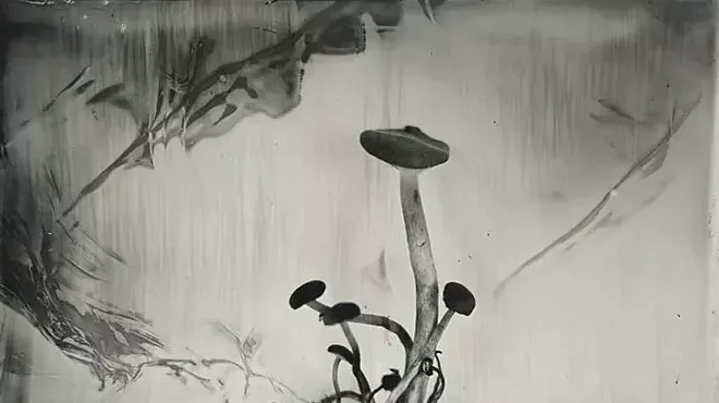 Image: Rachel Portesi
