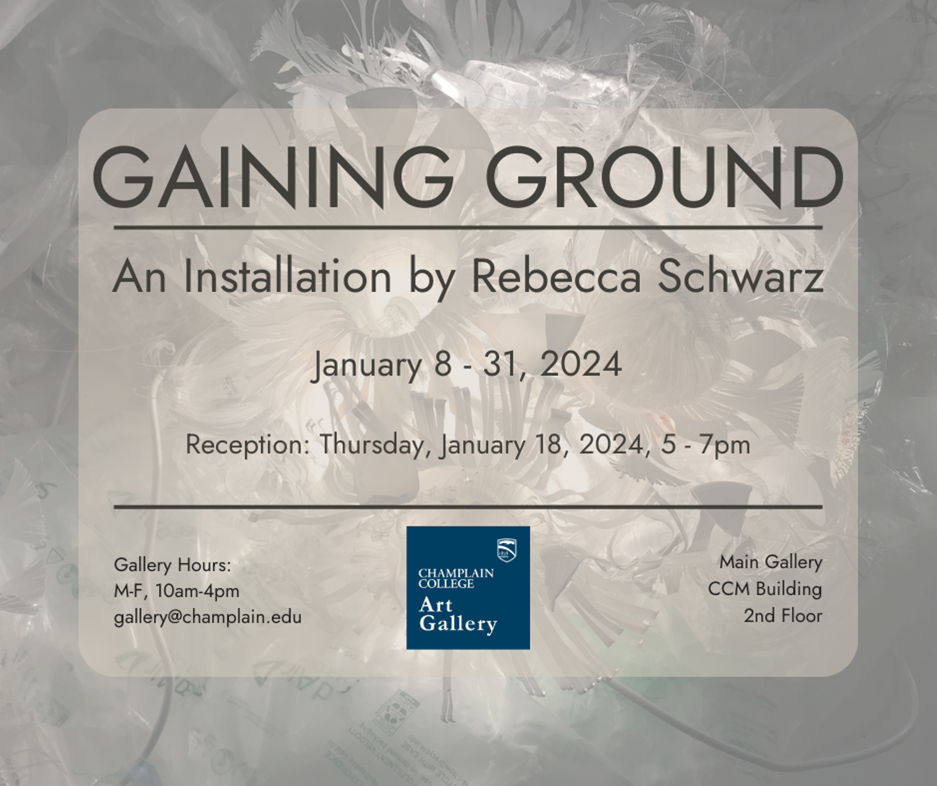 Installation by Rebecca Schwarz