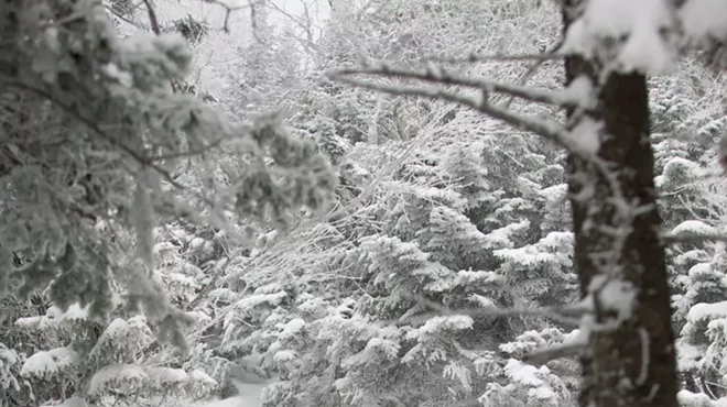 Image: Red Bench Speaker Series: 40 Years of the Catamount Ski Trail