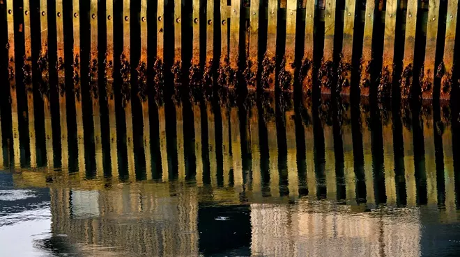 Image: 'Reflections'