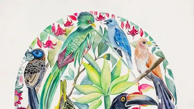 Image: Robin Crofut-Brittingham