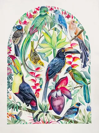 Image: Robin Crofut-Brittingham