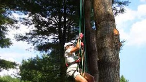 Sarah Tuff climbing