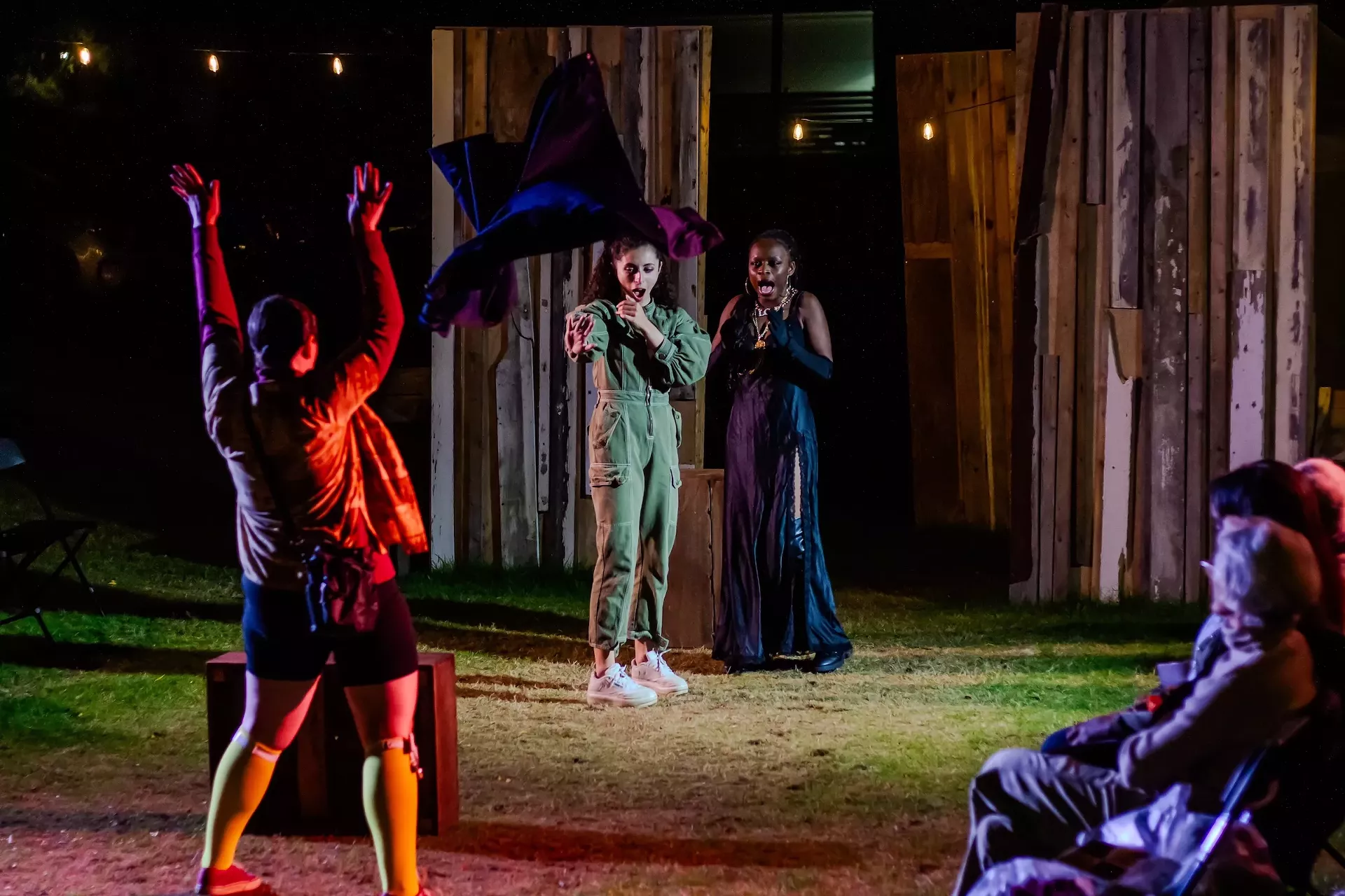 twelfth_night_1.webp
