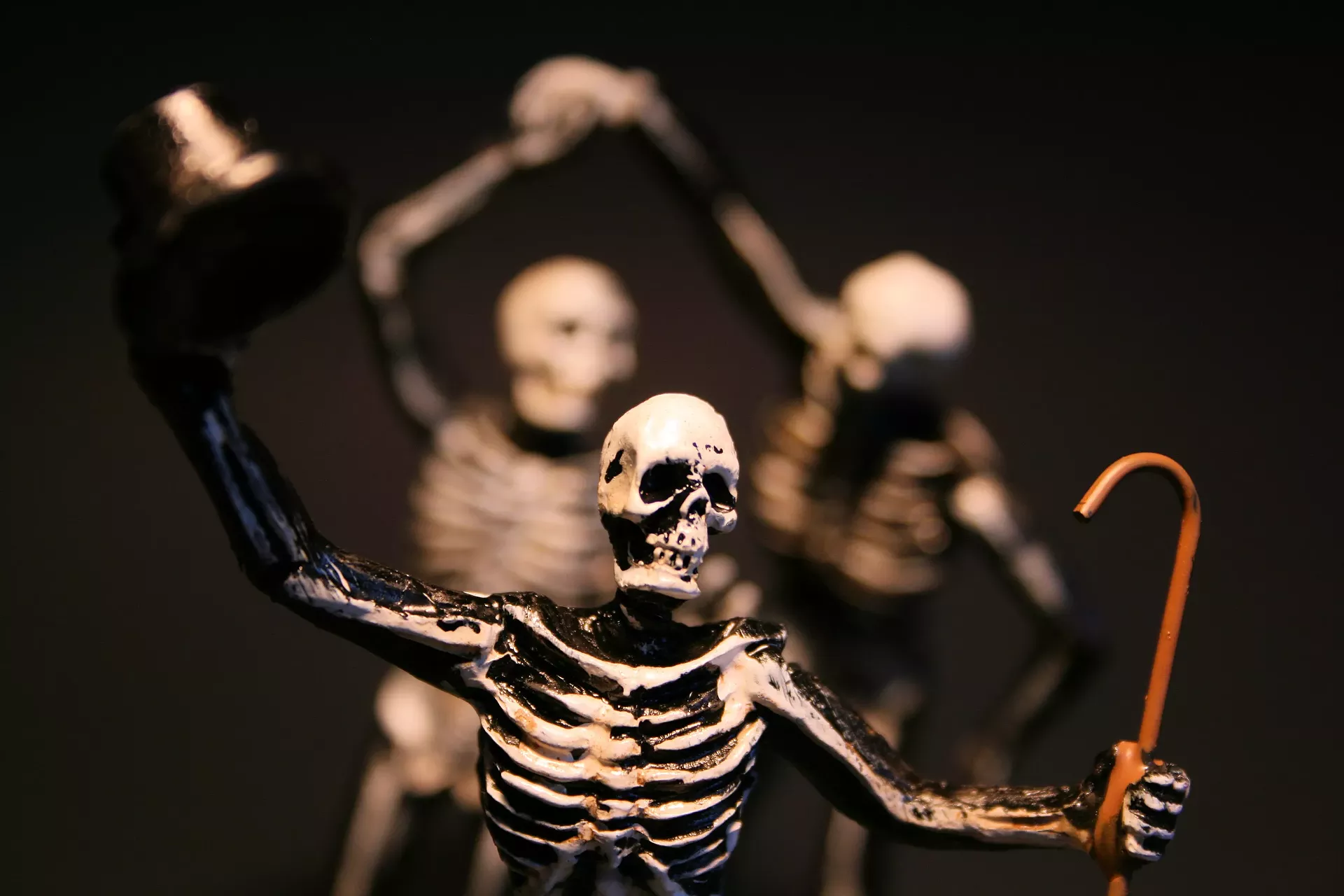 skeleton_s_soiree____julia_gatewood___dreamstime.webp
