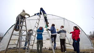 Skinning a greenhouse at Adam's Berry Farm