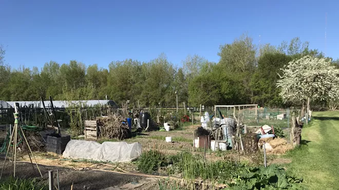 Image: Skinny Pancake's ShiftMeals Launches Farm Program