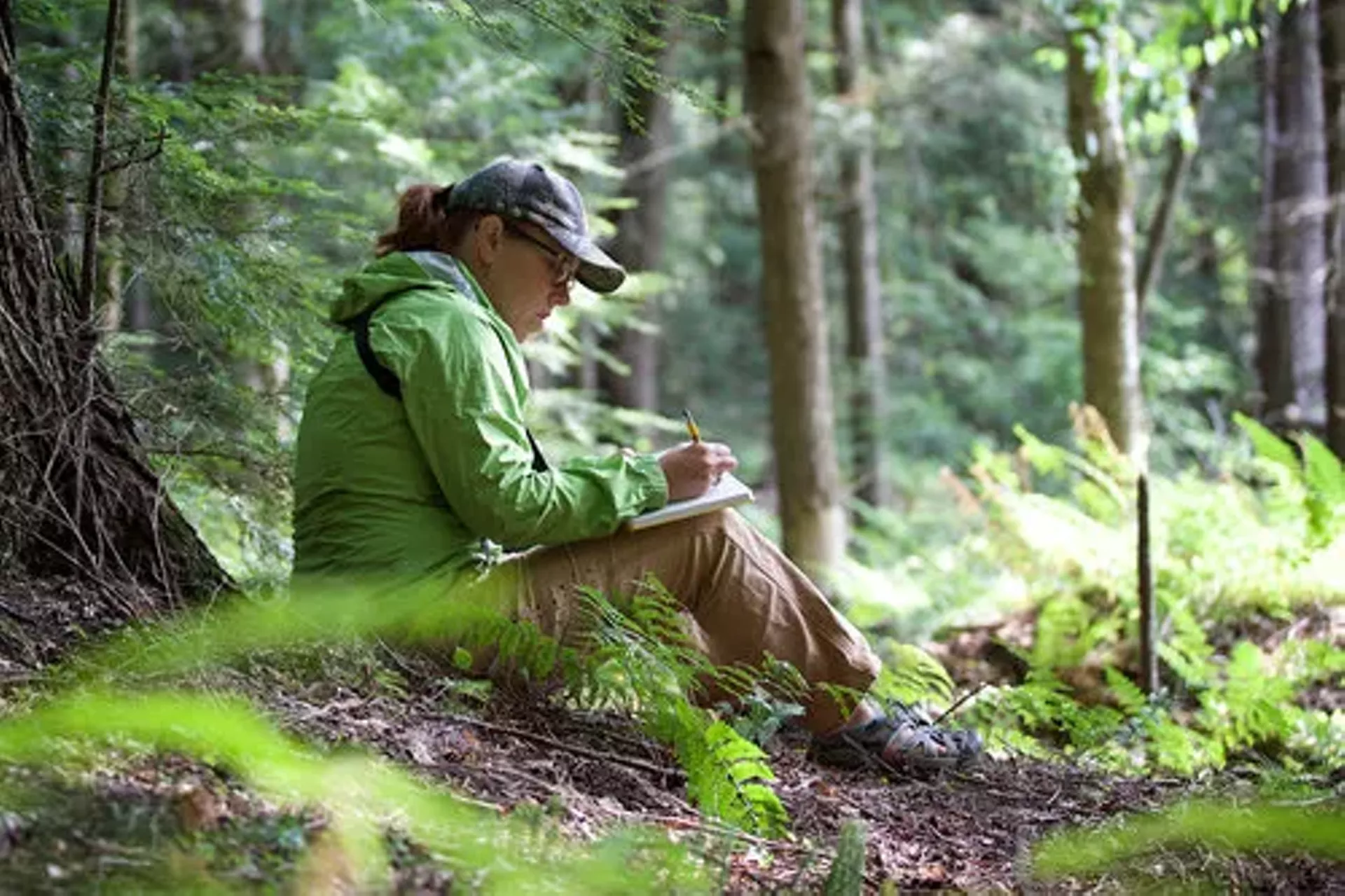 bridget_outdoor_sit_spot.webp