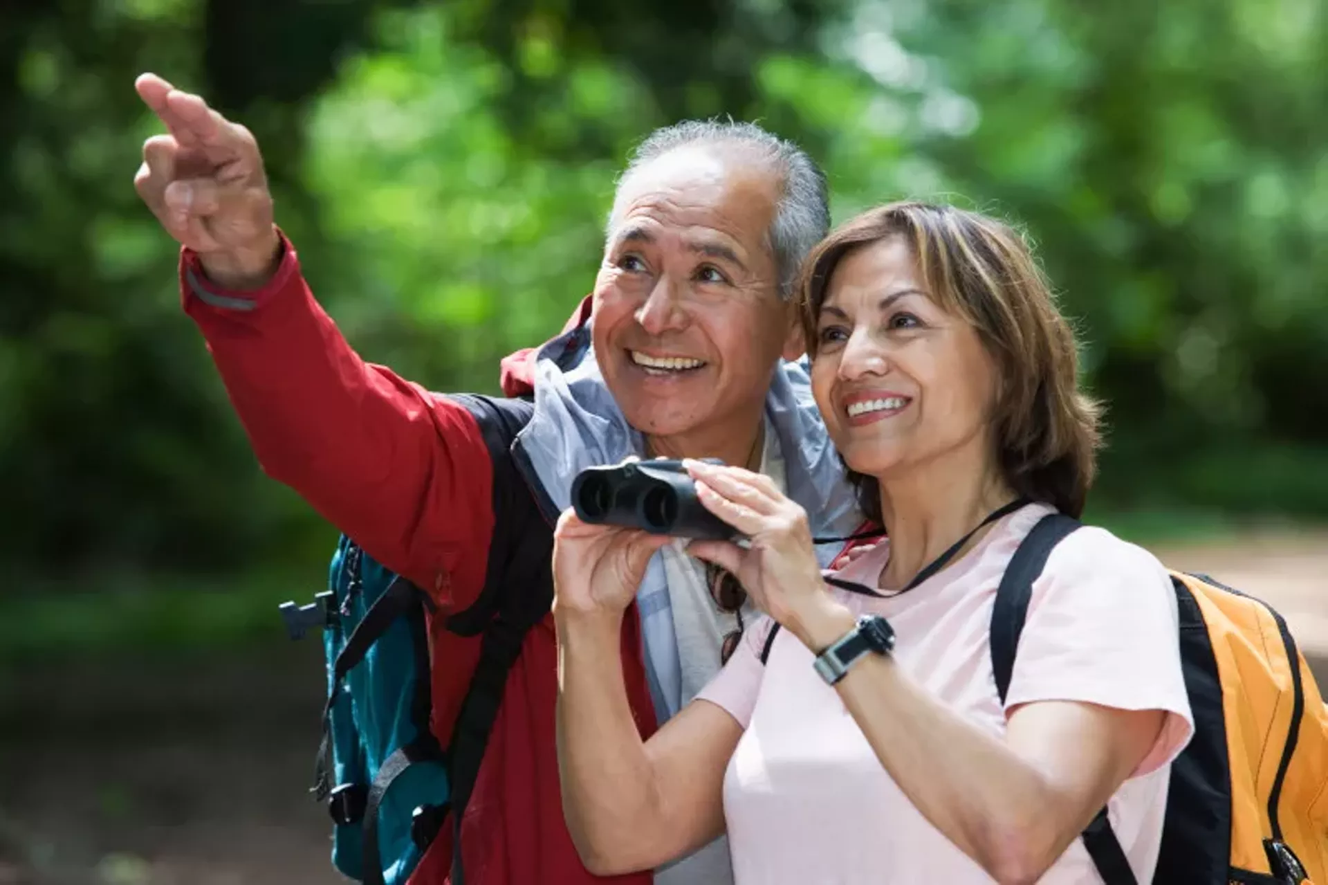 gettyimages-sb10063026af-001.webp