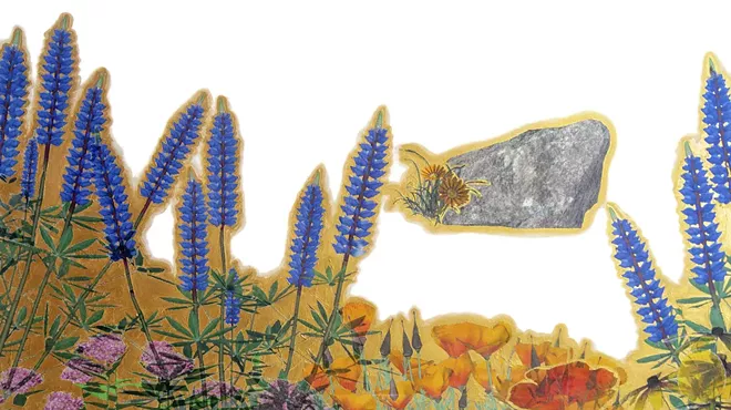 Image: Spring Solo Exhibitions