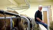 A Longtime Dairyman Thinks Big — and Goes Small