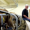 A Longtime Dairyman Thinks Big — and Goes Small