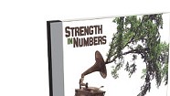 Strength in Numbers, Confluence