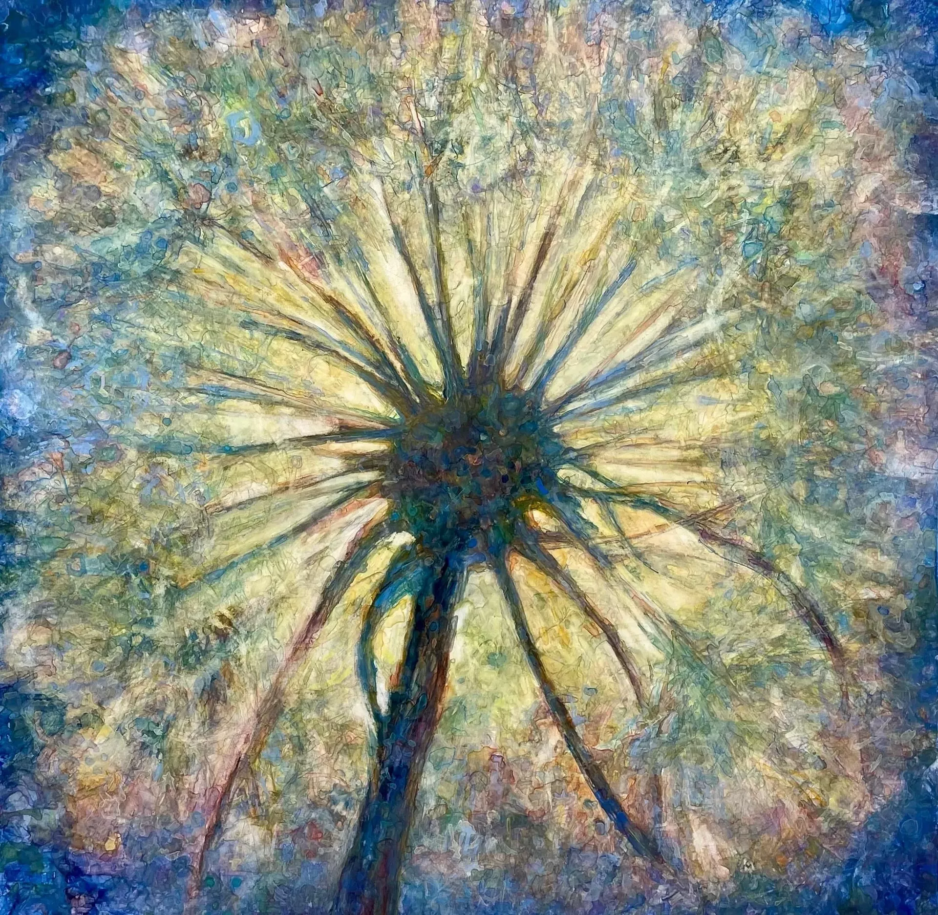 "Wonder" by Susan Wahlrab