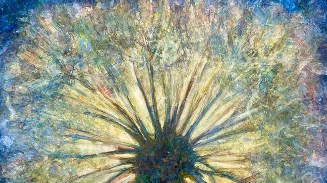 Image: Susan Wahlrab