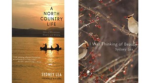 Sydney Lea Book Reviews