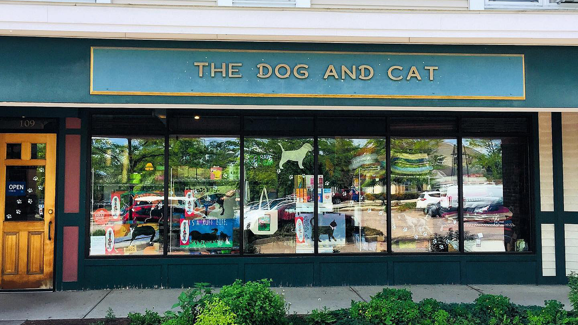 dogandcat-photo.png