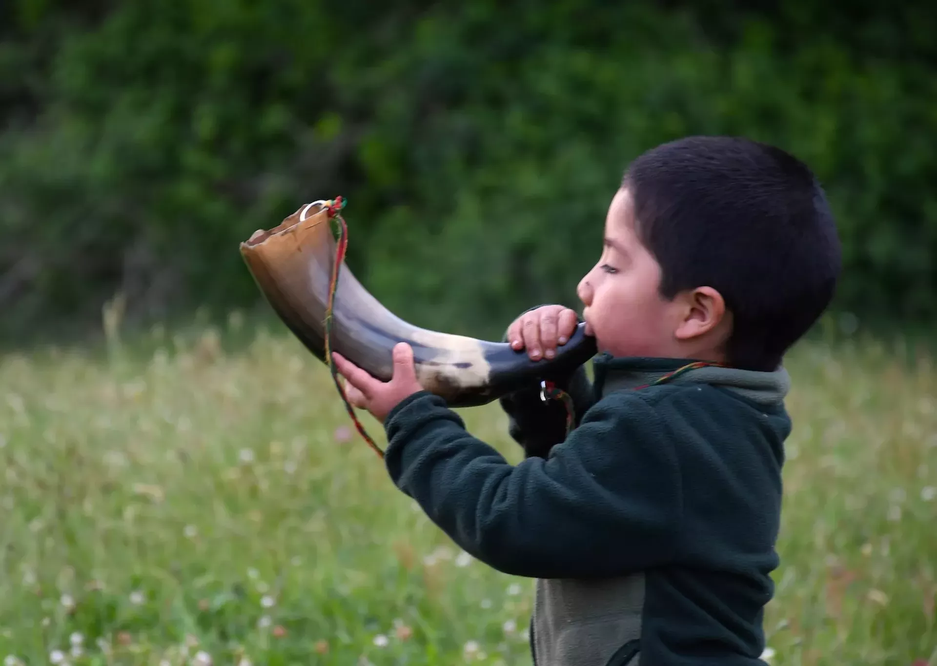 mapuche_boy_horn_chile.webp