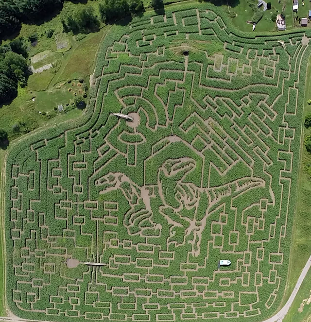 The Great Vermont Corn Maze Goes All Raptor on Us