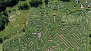 The Great Vermont Corn Maze in Danville