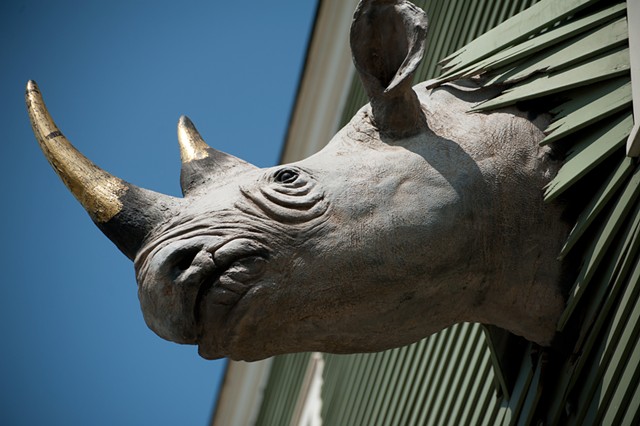 The rhino at Conant Metal & Light - COURTESY OF NATALIE WILLIAMS