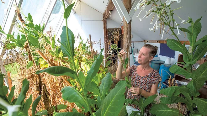Image: The Vermont Center for Integrative Herbalism Finds New Home at Goddard College
