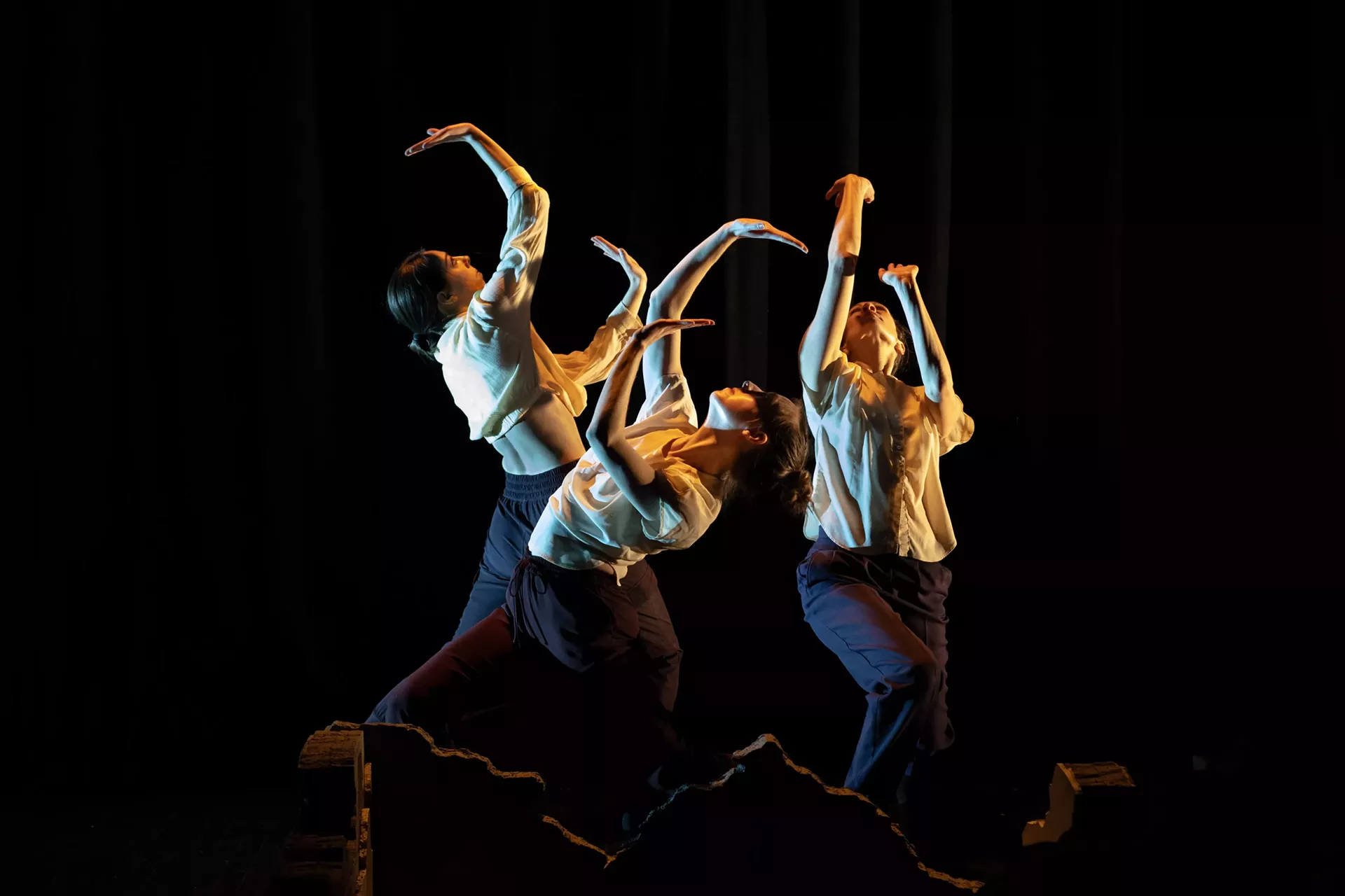 credithayesforanimaldance2_copy.webp