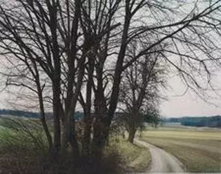 Image: Thomas Struth