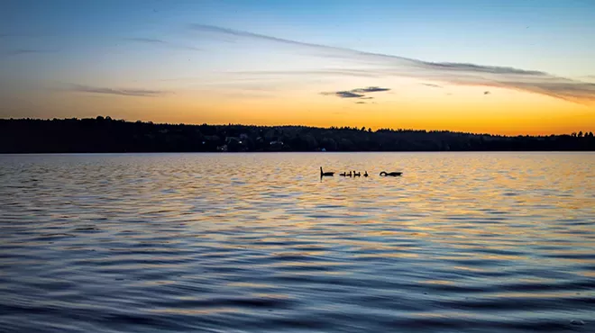 Image: Three to Six Hours in Greensboro, a Tranquil Haven