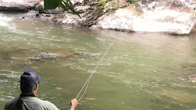 Image: Trout Day