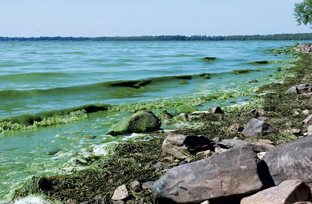 Blue-green algae in Lake Champlain - FILE