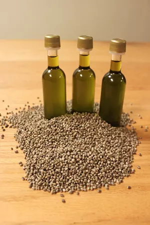 Kentucky Hemp Company Buys Middlebury Processing Facility