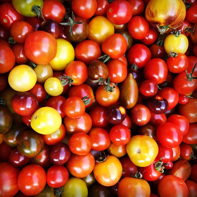Half Pint Farm tomatoes - COURTESY OF HALF PINT FARM