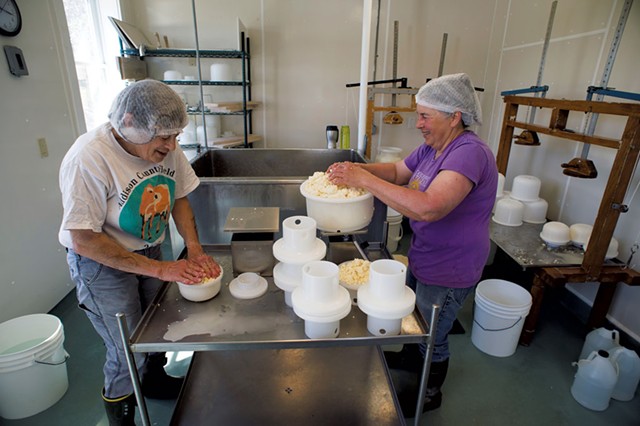 Marian Pollack (left) and Marjorie Susman making cheese - CALEB KENNA