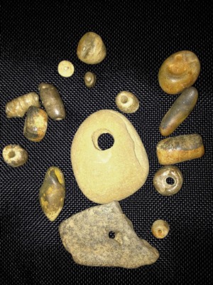 Example of "buttons" found at Button Bay - COURTESY OF VERMONT STATE PARKS