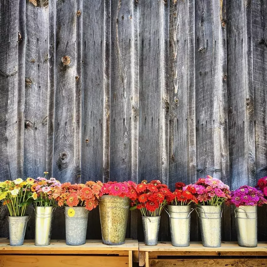 Best florist