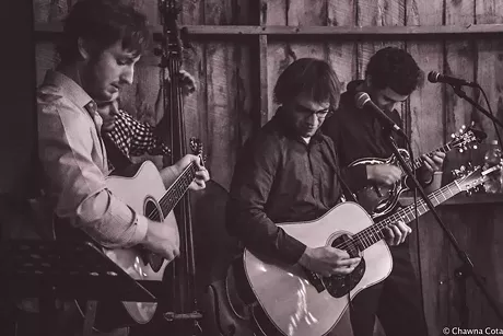 Best bluegrass artist or group
