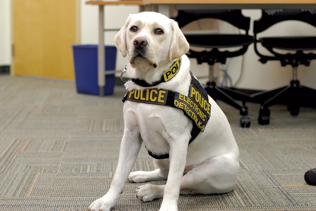 Mojo, the police dog