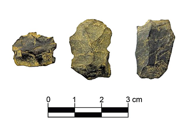 Artifacts found at the site - COURTESY OF NORTHEAST ARCHAEOLOGY RESEARCH CENTER