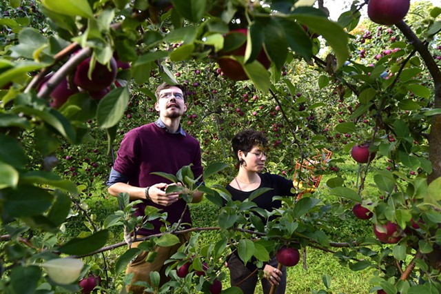 Burtt's Apple Orchard - JEB WALLACE-BRODEUR
