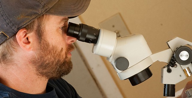Tucker Purchase using a microscope to look for eggs for in vitro fertilization - © CABOT CREAMERY CO-OPERATIVE
