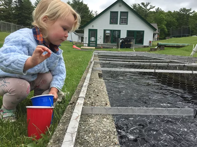 Fee Hike Could Spawn Revenue to Save Salisbury Fish Hatchery