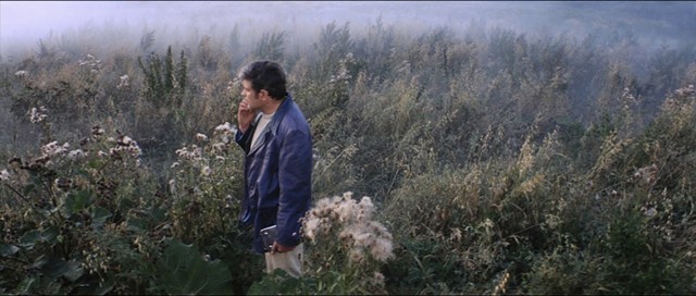 A gorgeous earthly landscape in Solaris - MOSFILM