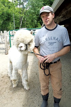 Ian Lutz moving a male alpaca to the barn for breeding - HANNAH PALMER EGAN